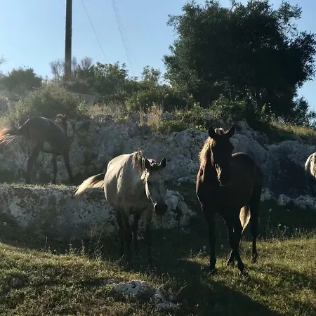 Gloria&mitati דירה *
